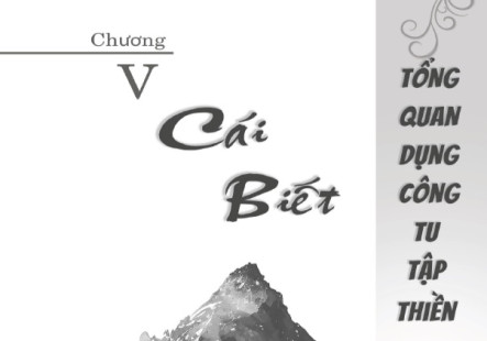 Dụng Công Tu Thiền - Phần 06 - Chương 05 : Tổng Quan Dụng Công Tu Tập Thiền - Cái Biết